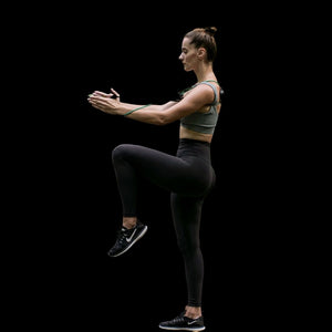 TPro Swing Kit 2.0 TPro Swing Kit 2.0