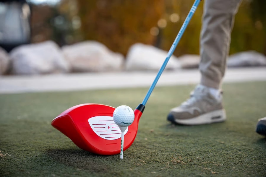 Little Links oversized Big Swing driver head